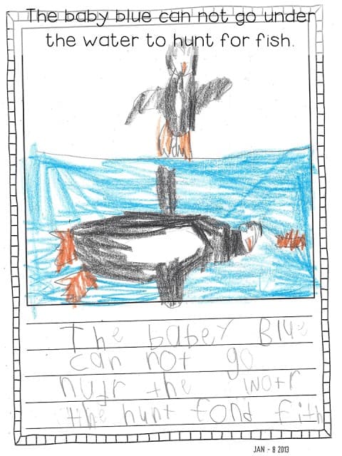 informational writing in kindergarten with student samples 30