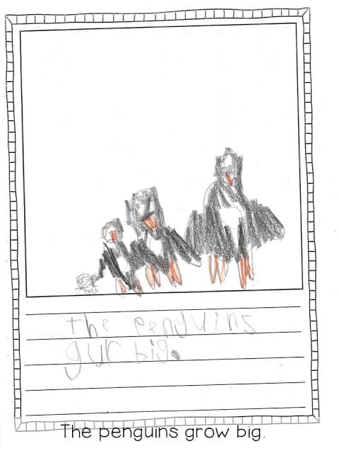 informational writing in kindergarten with student samples 32
