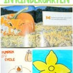 Pumpkin Jack Lesson Plans Lesson Plans for kindergarten and first-grade. Here are lesson plans and anchor charts for Pumpkin Jack A cute pumpkin art project and other classroom activities too!