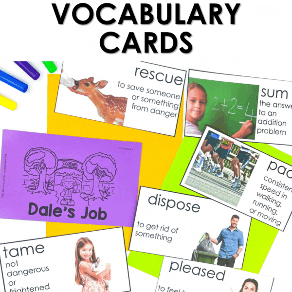 DECODABLE BOOKS SCIENCE OF READING ALIGNED DECODABLE READERS | CVCe Books - Image 5
