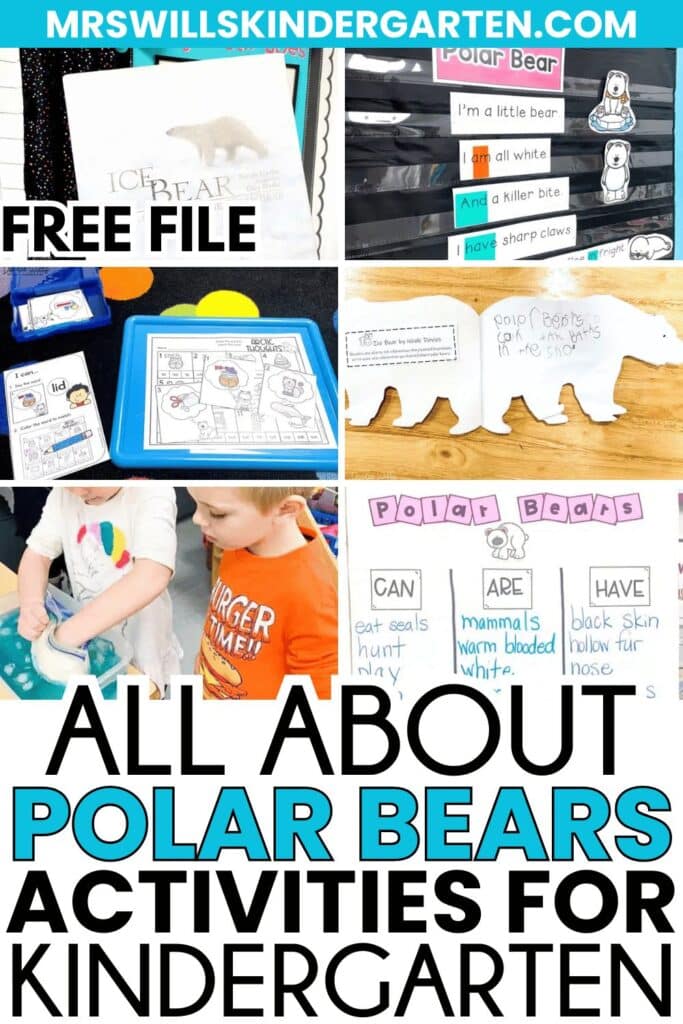 Planning a polar bear or Arctic animals unit? 🐻‍❄️ This post shares 15 fun polar bear activities for kindergarten and first grade—reading Ice Bear, crafts, nonfiction writing, STEM challenges, sensory play, poems, centers, riddles, and even a polar bear snack. Perfect for January and winter learning!