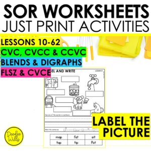 Label Pictures Phonics Practice Activities - CVC, CCVC, CVCC & CVCe Worksheets
