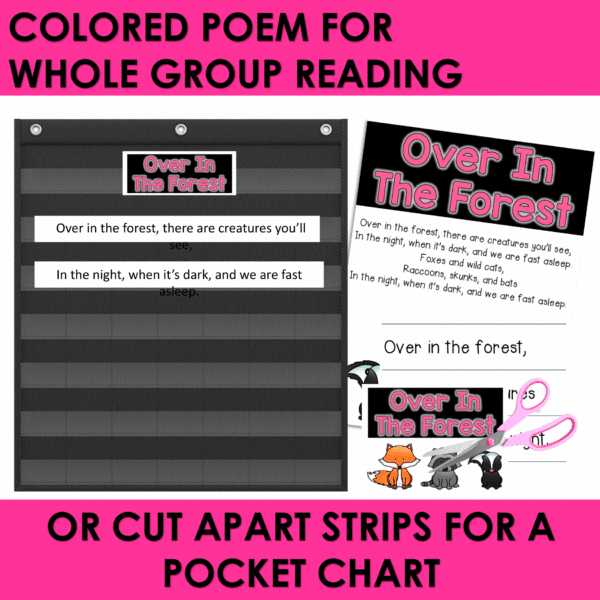 Nocturnal Animals Poem of the Week Kindergarten w Activities & Fluency Lesson - Image 2