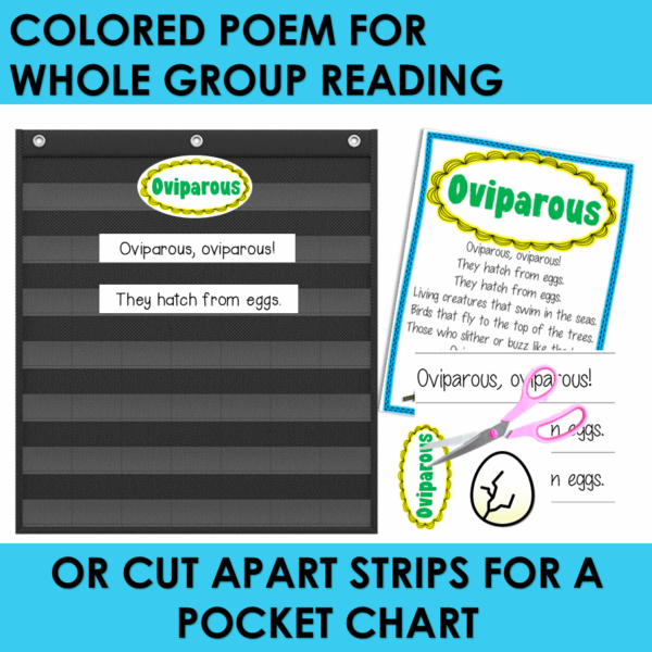 Oviparous Animals Poem of the Week Kindergarten Activities & Fluency Lesson - Image 2