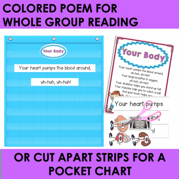Human Body Kindergarten Poem of the Week Body Parts Activities & Fluency Lesson - Image 2